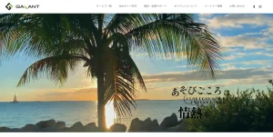 宮崎にあるSEO対策会社・合同会社ギャラント