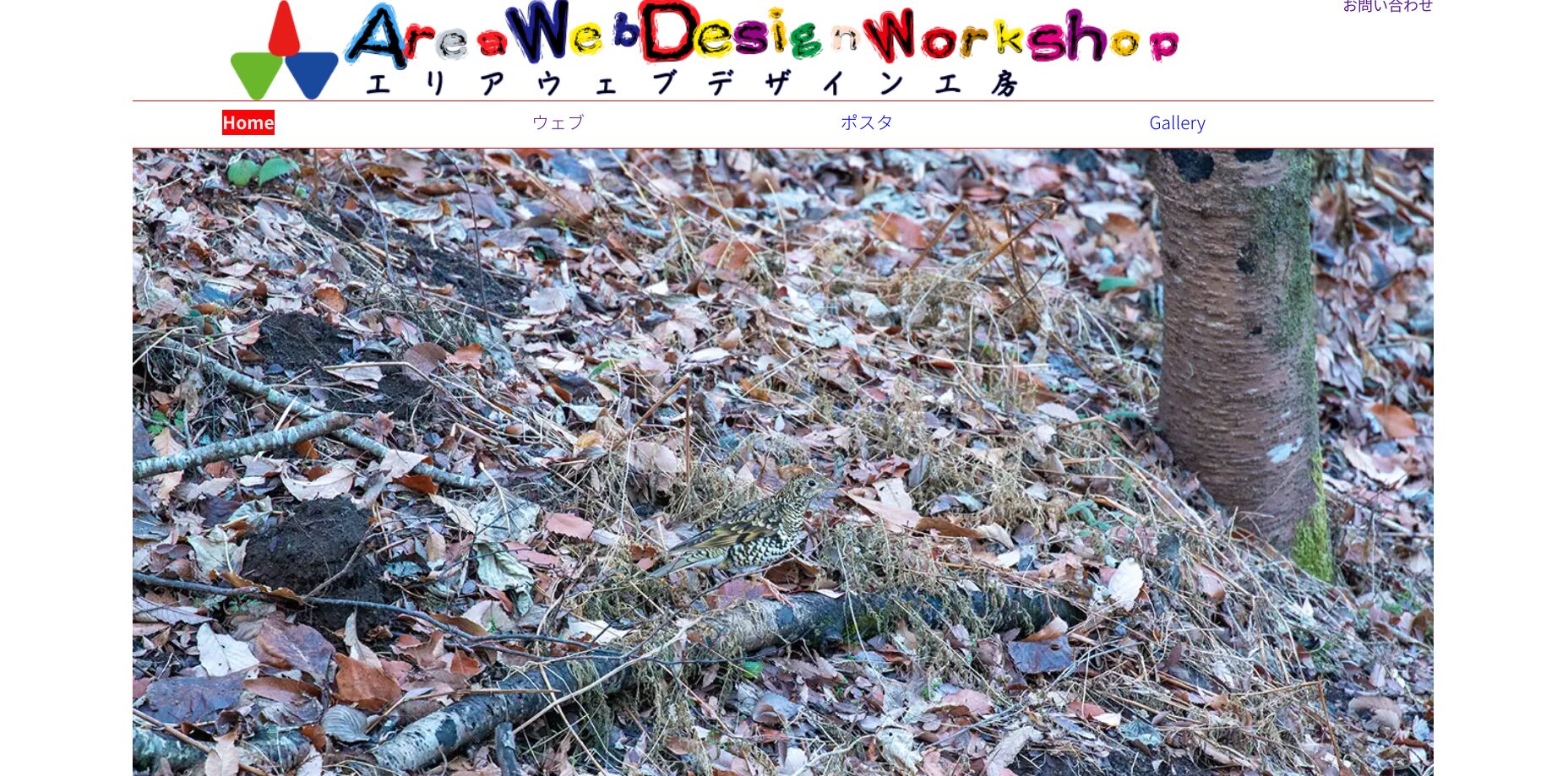 秦野市にあるホームページ制作会社「エリアウェブデザイン工房」